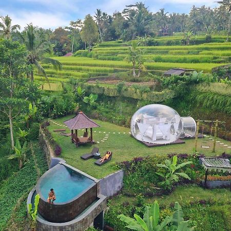 Romantic Bubble Dome Hotel Gianyar  Exterior photo