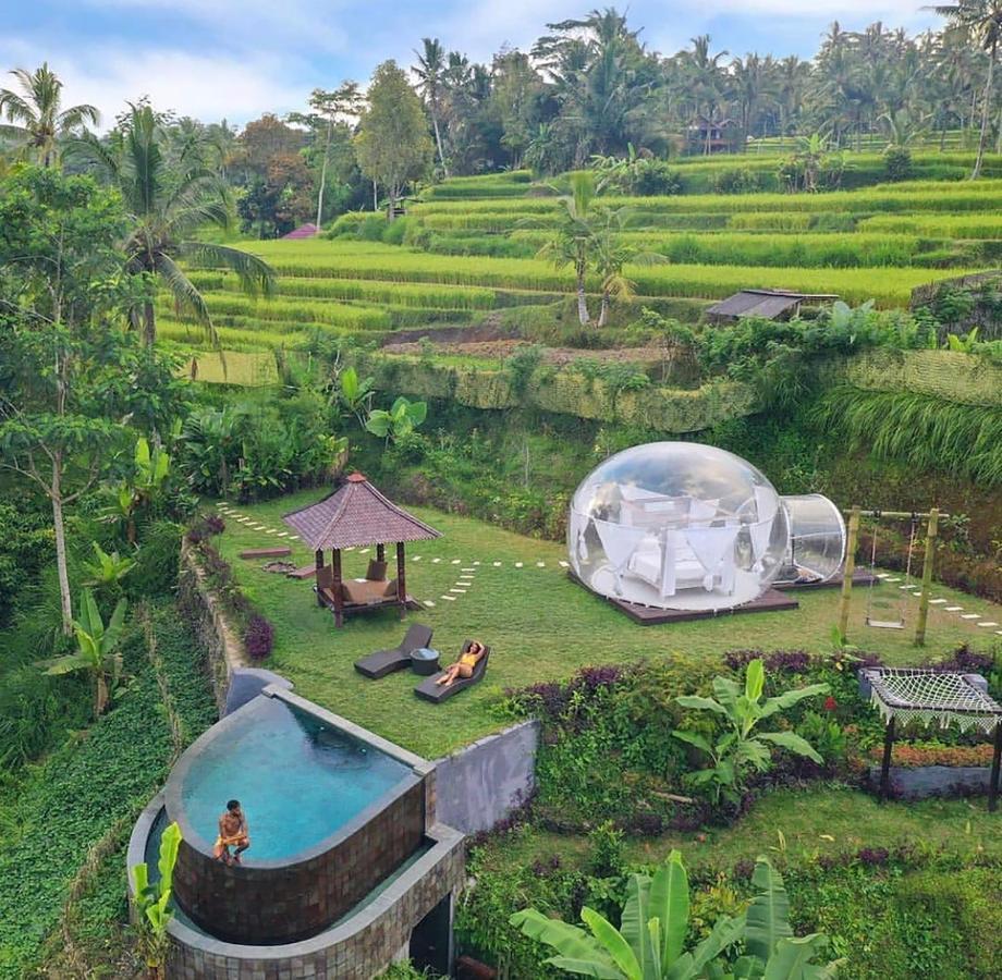 Romantic Bubble Dome Hotel Gianyar  Exterior photo