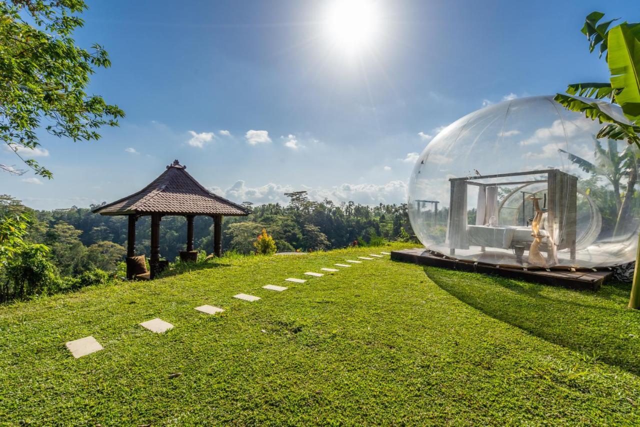 Romantic Bubble Dome Hotel Gianyar  Exterior photo