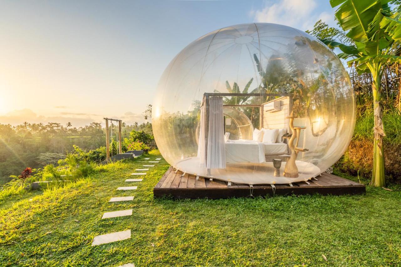 Romantic Bubble Dome Hotel Gianyar  Exterior photo