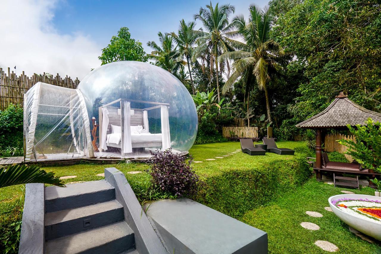 Romantic Bubble Dome Hotel Gianyar  Exterior photo