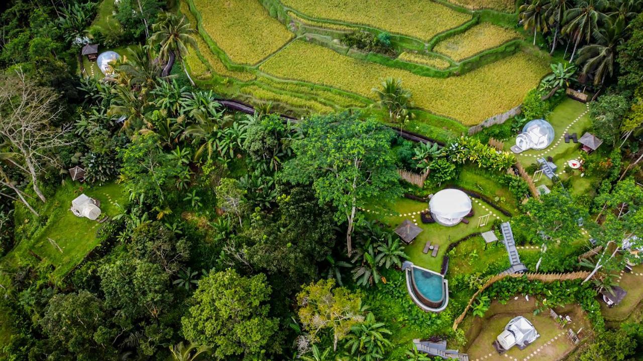 Romantic Bubble Dome Hotel Gianyar  Exterior photo