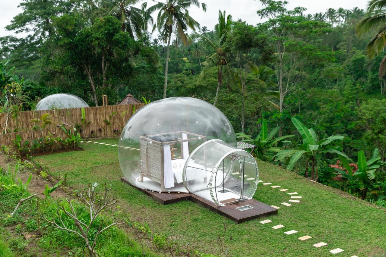 Romantic Bubble Dome Hotel Gianyar  Room photo