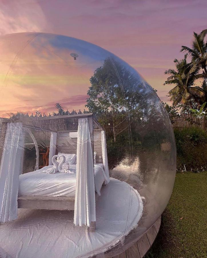 Romantic Bubble Dome Hotel Gianyar  Exterior photo